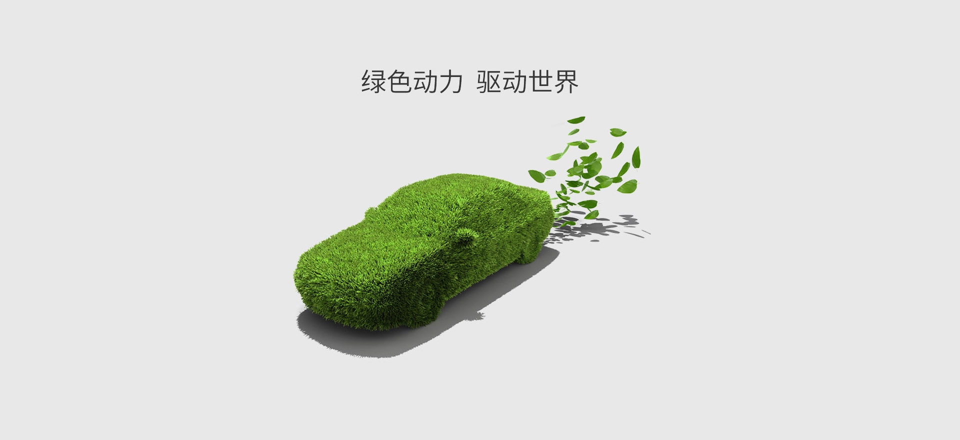 ɫϵͳ